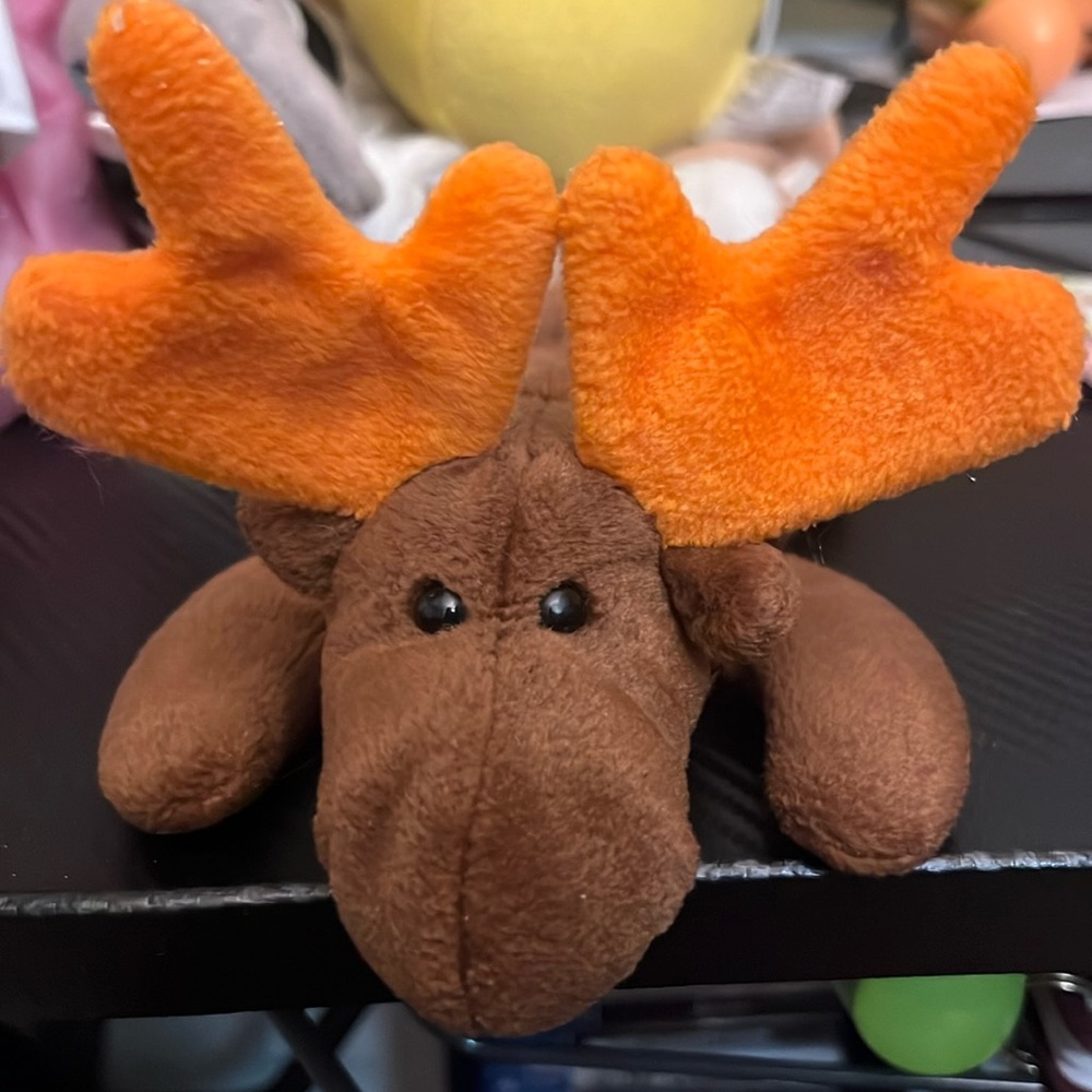 Chocolate moose beanie baby